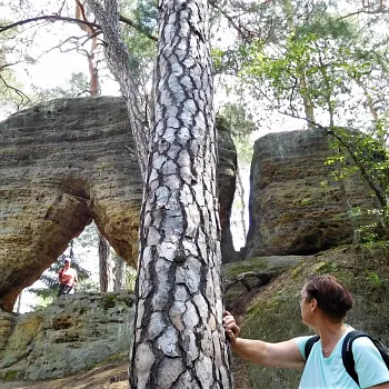 Několik kokořínských Nordic Walking tras