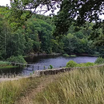 Dánsko - Nordic Walking na ostrově Bornoholm mě nadchl