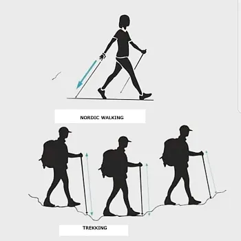 Chůze s holemi. Trekking nebo Nordic Walking?