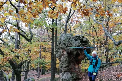 Několik kokořínských Nordic Walking tras