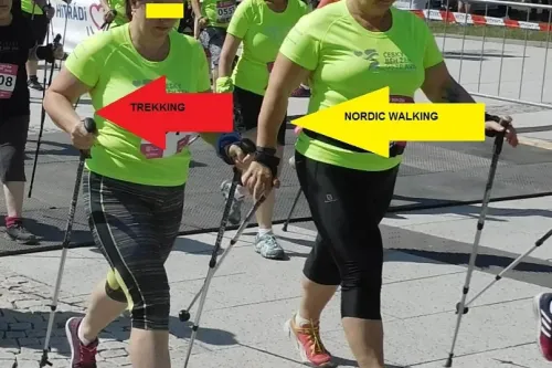 Chůze s holemi. Trekking nebo Nordic Walking?