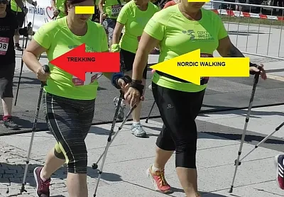 Chůze s holemi. Trekking nebo Nordic Walking?