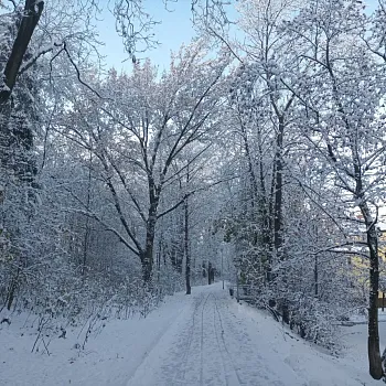 Ostrava podivuhodná - NW výšlap Hrabová - dřevěný kostel - kolonie Šídlovec - halda Hrabůvka - řeka Ostravice