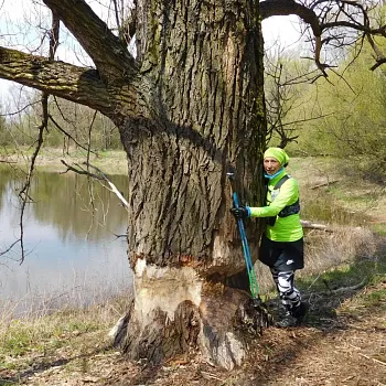 Ostrava Koblov - Nordic Walking výšlap podél Antošovických rybníků