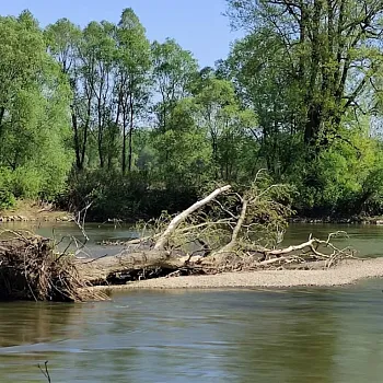 Starý Bohumín - Nordic walking výšlap hraniční meandry Odry
