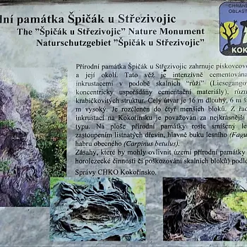 Střezivojice na Kokořínsku - Nordic Walking výšlap za kamennými růžemi