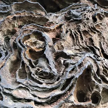 Střezivojice na Kokořínsku - Nordic Walking výšlap za kamennými růžemi