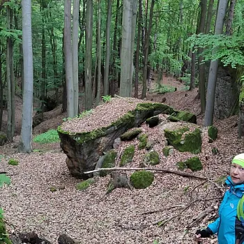 Střezivojice na Kokořínsku - Nordic Walking výšlap za kamennými růžemi