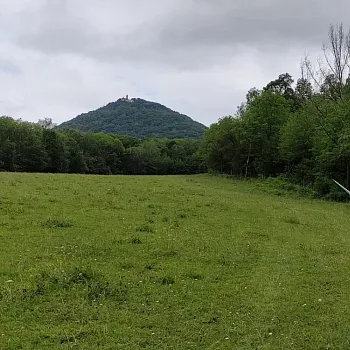 Nordic Walking na Milešovku - královnu Českého středohoří.