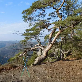 KOKOŘÍNSKO – Nordic Walking výšlap Zakšín – Tupadly