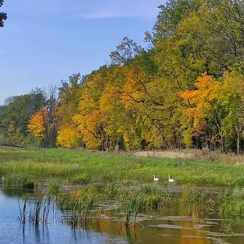 Jistebník - podivuhodné Poodří. Nordic Walking výšlap s instruktorkou.