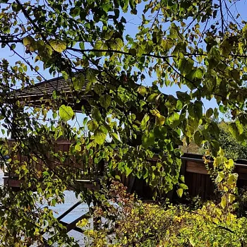 Jistebník - podivuhodné Poodří. Nordic Walking výšlap s instruktorkou.