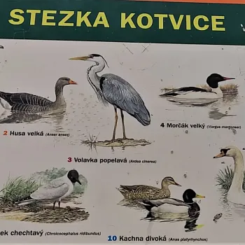 Jistebník - podivuhodné Poodří. Nordic Walking výšlap s instruktorkou.