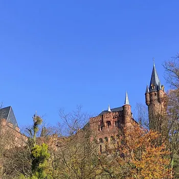 Hradec nad Moravicí - předvánoční a mikulášský Nordic Walking výšlap