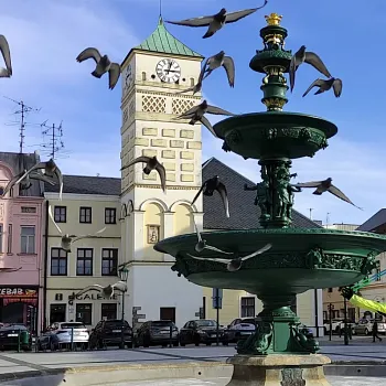 Karviná, Doly - Nordic Walking výšlap od Šikmého kostela do Fryštátu, krajinou kontrastů.