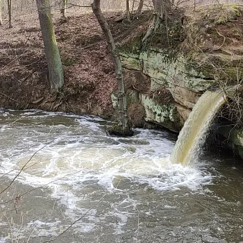 Zahrádky u České Lípy – Nordic Walking výšlap kolem Holanských rybníků a setkání s hastrmanem.