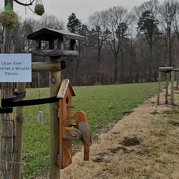 Ostrava, Petřkovice - Nordic Walking výšlap za Svatým Františkem