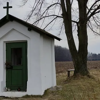 Ostrava, Petřkovice - Nordic Walking výšlap za Svatým Františkem
