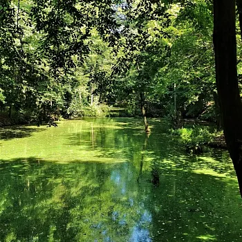 Ostrava!!! - přírodní rezervace Rezavka. Nordic Walking výšlap s instruktorem.
