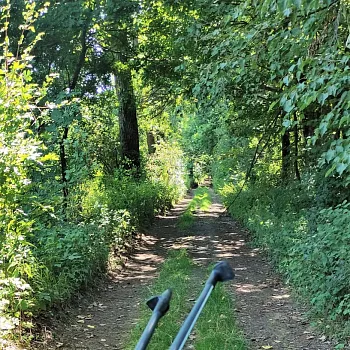 Ostrava!!! - přírodní rezervace Rezavka. Nordic Walking výšlap s instruktorem.
