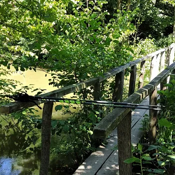 Ostrava!!! - přírodní rezervace Rezavka. Nordic Walking výšlap s instruktorem.