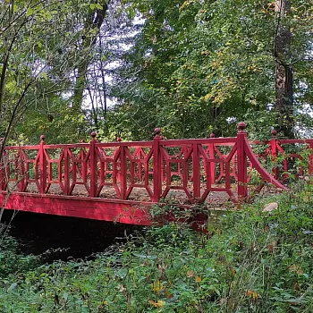 Veltrusy - Nordic walking přes všechny mosty zámeckého parku