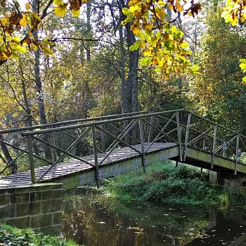 Veltrusy - Nordic walking přes všechny mosty zámeckého parku