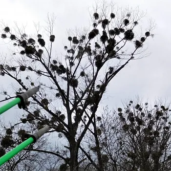 ZRUŠENO KVŮLI KORONÁČI: Dolní Benešov - Nordic Walking výšlap jezerní krajinou