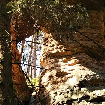 Překrásné Kokořínsko - Nordic Walking výšlap z Jestřebice do Mšena