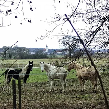 Ostrava!!! podivuhodná –Nordic Walking výšlap Proskovice – Stará Ves nad Ondřejnicí