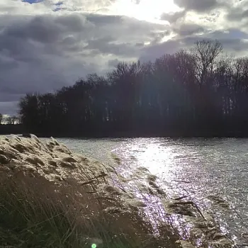 Neratovice  – Nordic Walking výšlap podél Bílé řeky do Kostelce