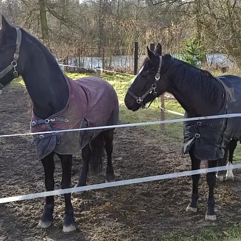 Neratovice  – Nordic Walking výšlap podél Bílé řeky do Kostelce