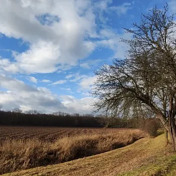 Neratovice  – Nordic Walking výšlap podél Bílé řeky do Kostelce