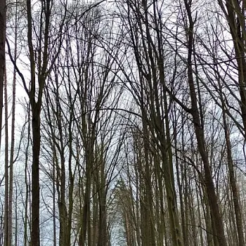 Ostrava!!! - ztracené Eldorado. Na konec putyka se špatnou pověstí.