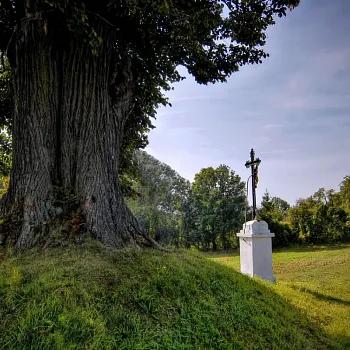 Kokořínsko - Nordic Walking krajem mého táty. Nedamy, Šemánovický důl, Bosyně, Harasov.