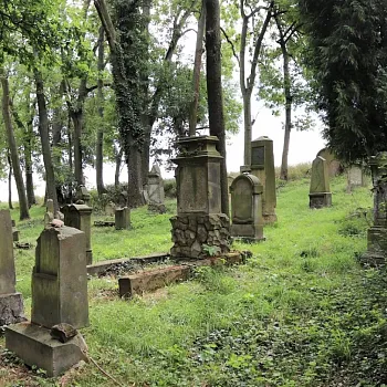 Kokořínsko - Nordic Walking krajem mého táty. Nedamy, Šemánovický důl, Bosyně, Harasov.