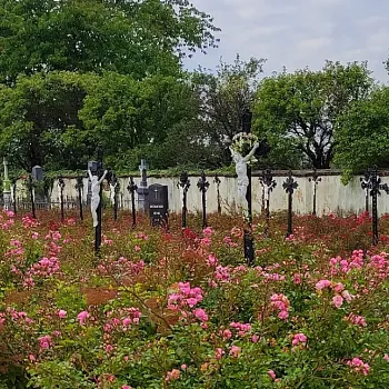 Javorník ve Slezsku - aktivní Nordic Walking víkend. Rychleby, Bílá Voda, Žulovsko, Tančírna.