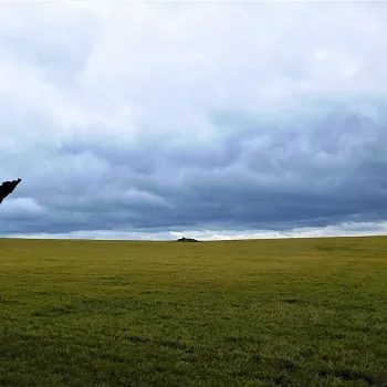 Ostrava - narozeninový Nordic Walking výšlap údolím Čertova mlýna