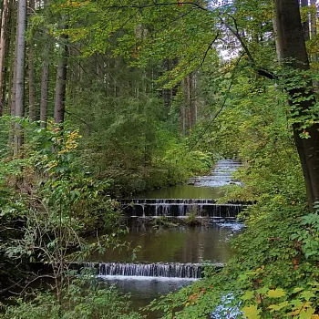 Zlaté Hory - Zlatohorský treking s Nordic Walking instruktorkou, a nejen....