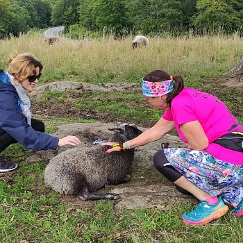 Dánsko - ostrov Bornholm 2024. Nordic Walking a cyklo zájezd.