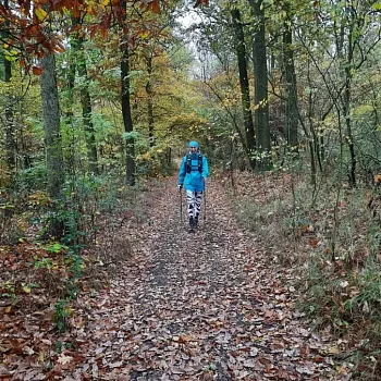 Mělnicko - Jeviněves. Nordic Walking výšlap kolem hradu, blázince, zapomenutého hřbitova a místa, které je lepší než muzeum. Buřtíky s sebou.