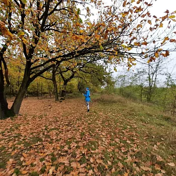 Mělnicko - Jeviněves. Nordic Walking výšlap kolem hradu, blázince, zapomenutého hřbitova a místa, které je lepší než muzeum. Buřtíky s sebou.