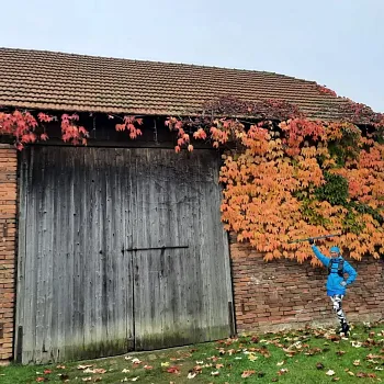 Mělnicko - Jeviněves. Nordic Walking výšlap kolem hradu, blázince, zapomenutého hřbitova a místa, které je lepší než muzeum. Buřtíky s sebou.