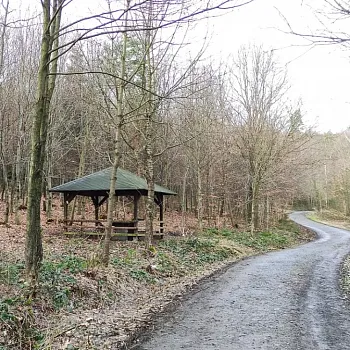 Ostrava!!! podivuhodná - Nordic Walking ze Zátiší do Zátiší