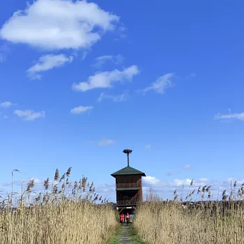 Ostrava!!! – Nordic Walking kolem Hlučínského jezera