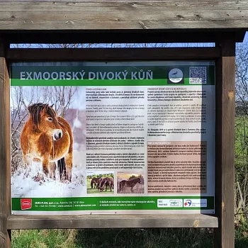 Ostrava!!! – Nordic Walking kolem Hlučínského jezera