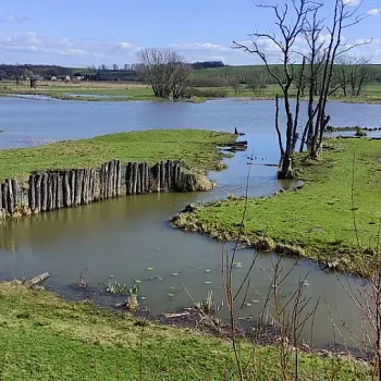 Ostrava!!! – Nordic Walking kolem Hlučínského jezera