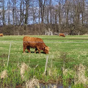 Ostrava!!! – Nordic Walking kolem Hlučínského jezera