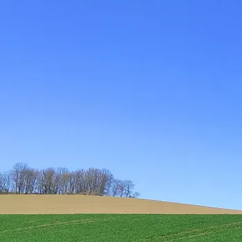 Ostrava!!! – Nordic Walking kolem Hlučínského jezera