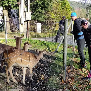 Beskydy, Frýdlant nad Ostravicí  – Nordic Walking výšlap k hospodě U Věličků a vodopádům Satiny